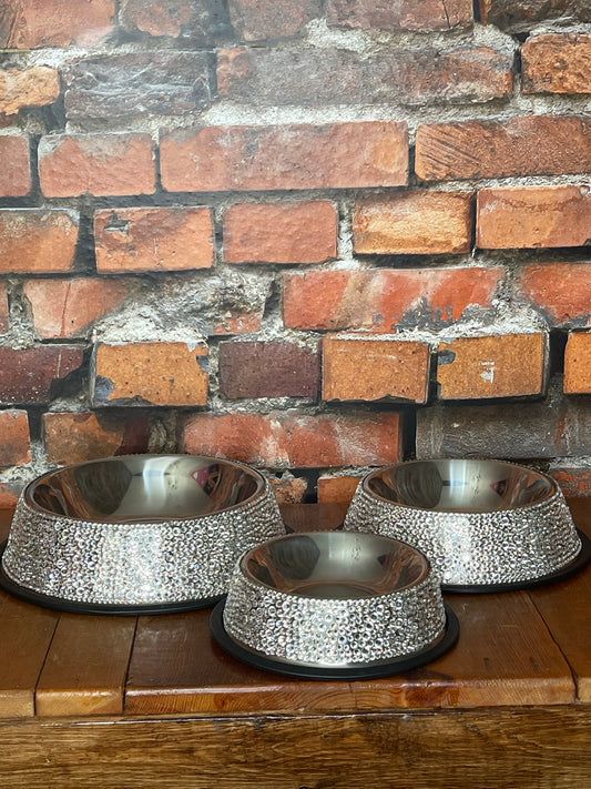 Sparkly Dog Bowl